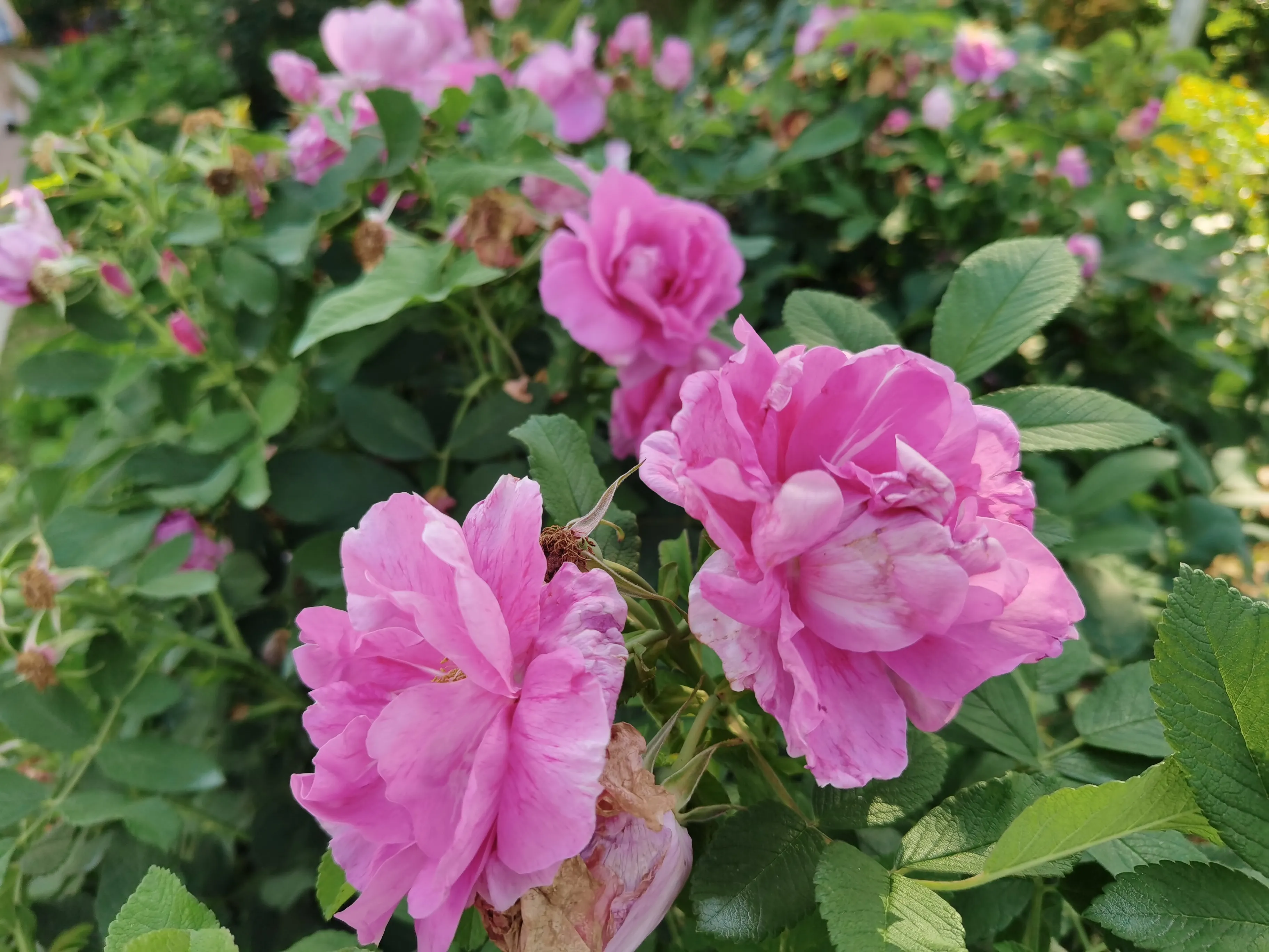 做个好人,有什么好处?