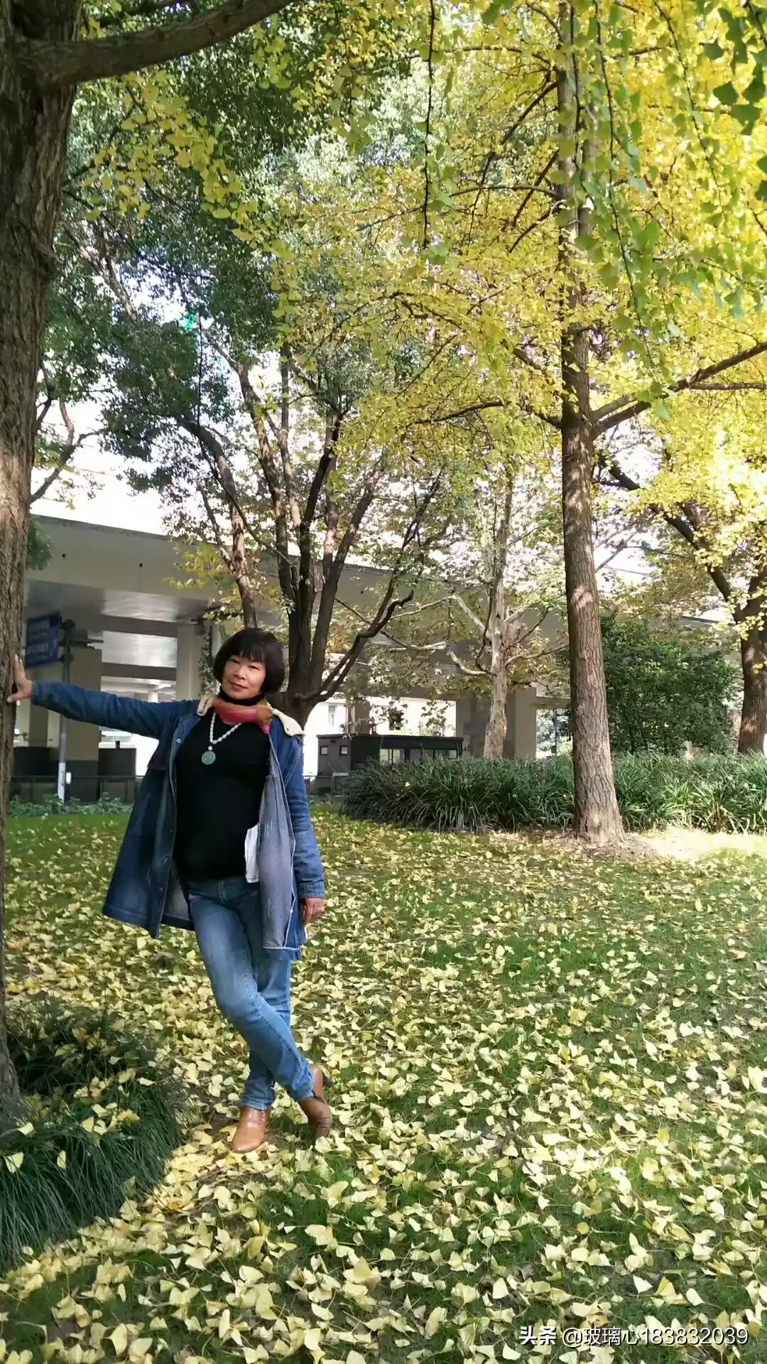 上海市有什么赏秋景的好地方?