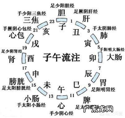 什么时候喝水好?