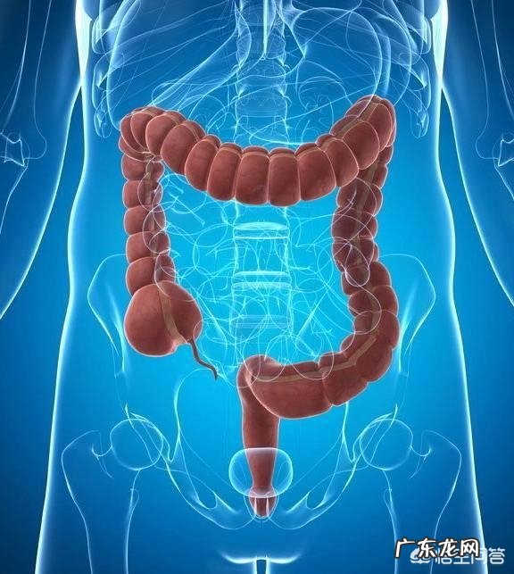 上厕所时,若有这4种表现,可能是“肠道癌变”的信号!指的是什么?