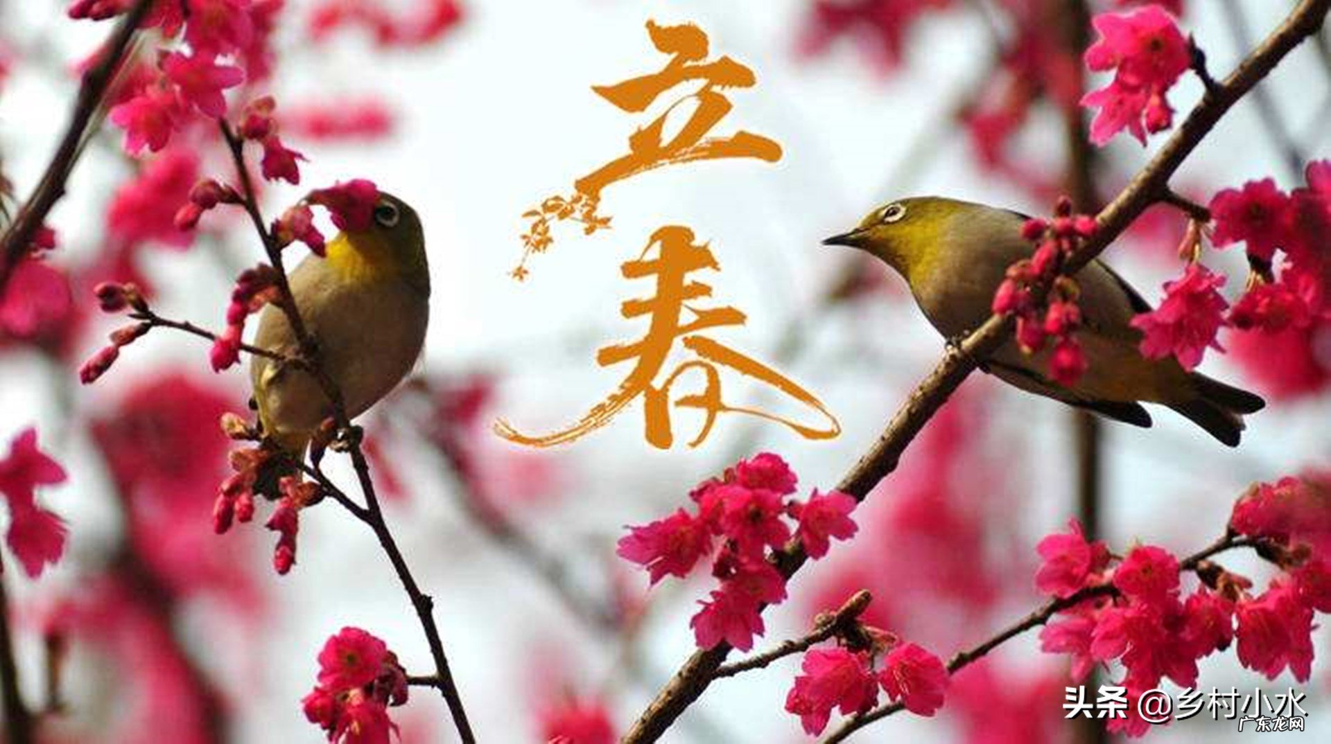 “早立春堆满谷,晚立春堆满人”,2022年立春是早还是晚?