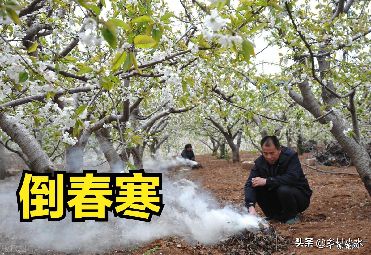 “早立春堆满谷,晚立春堆满人”,2022年立春是早还是晚?