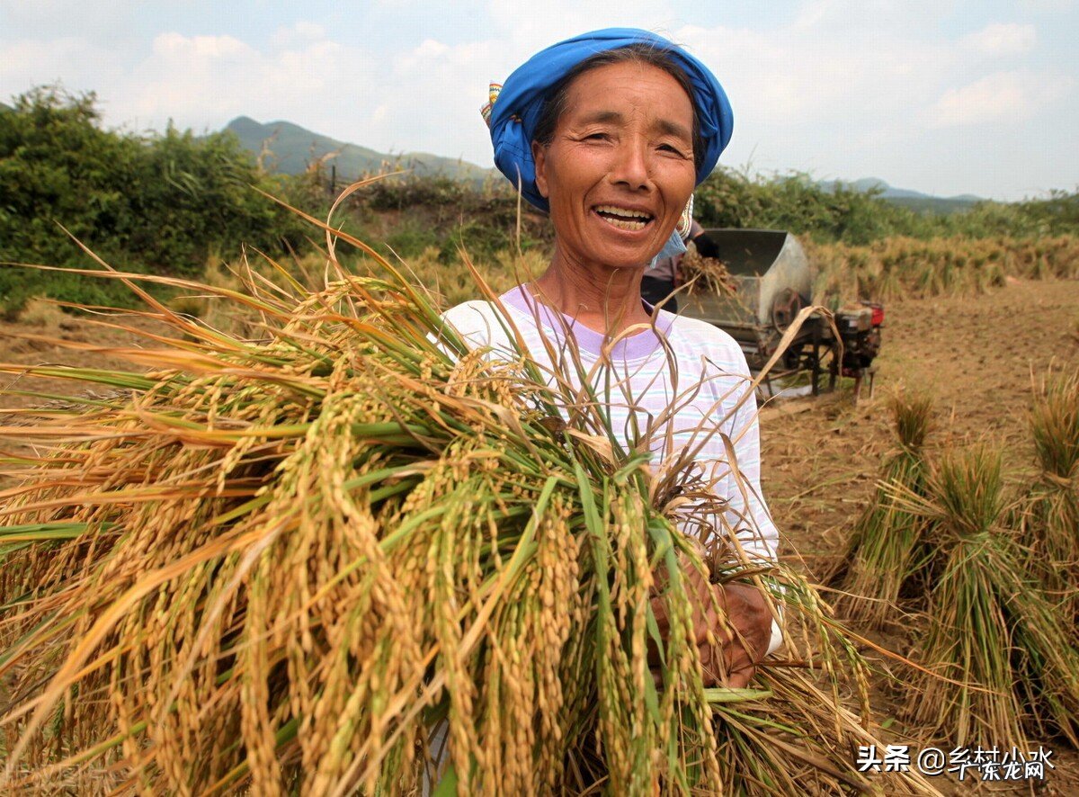 “早立春堆满谷,晚立春堆满人”,2022年立春是早还是晚?