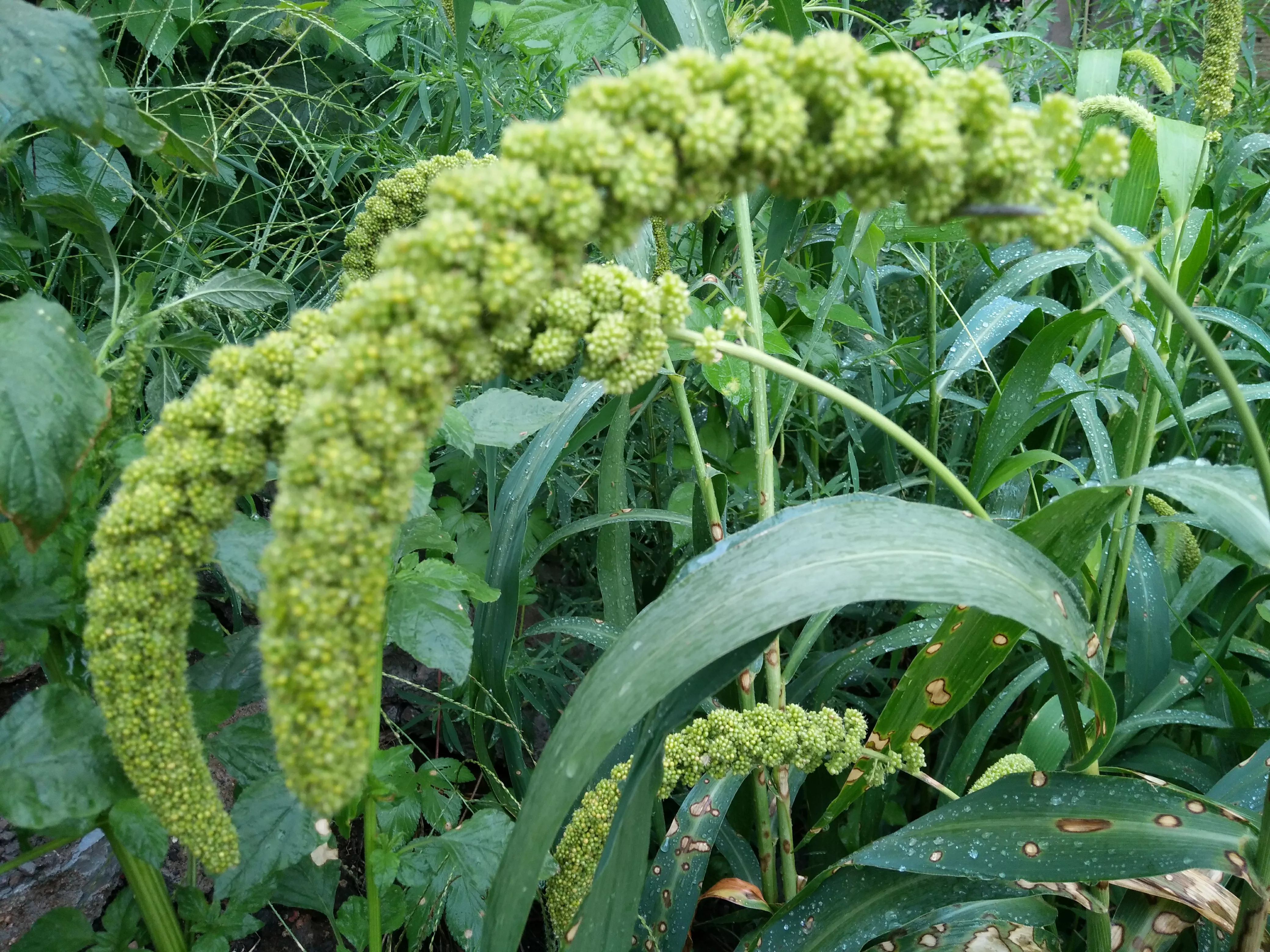 “早立春堆满谷,晚立春堆满人”,2022年立春是早还是晚?