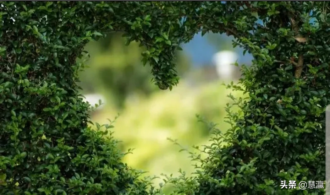 人一辈子真的能遇到真心朋友吗？有什么体验？