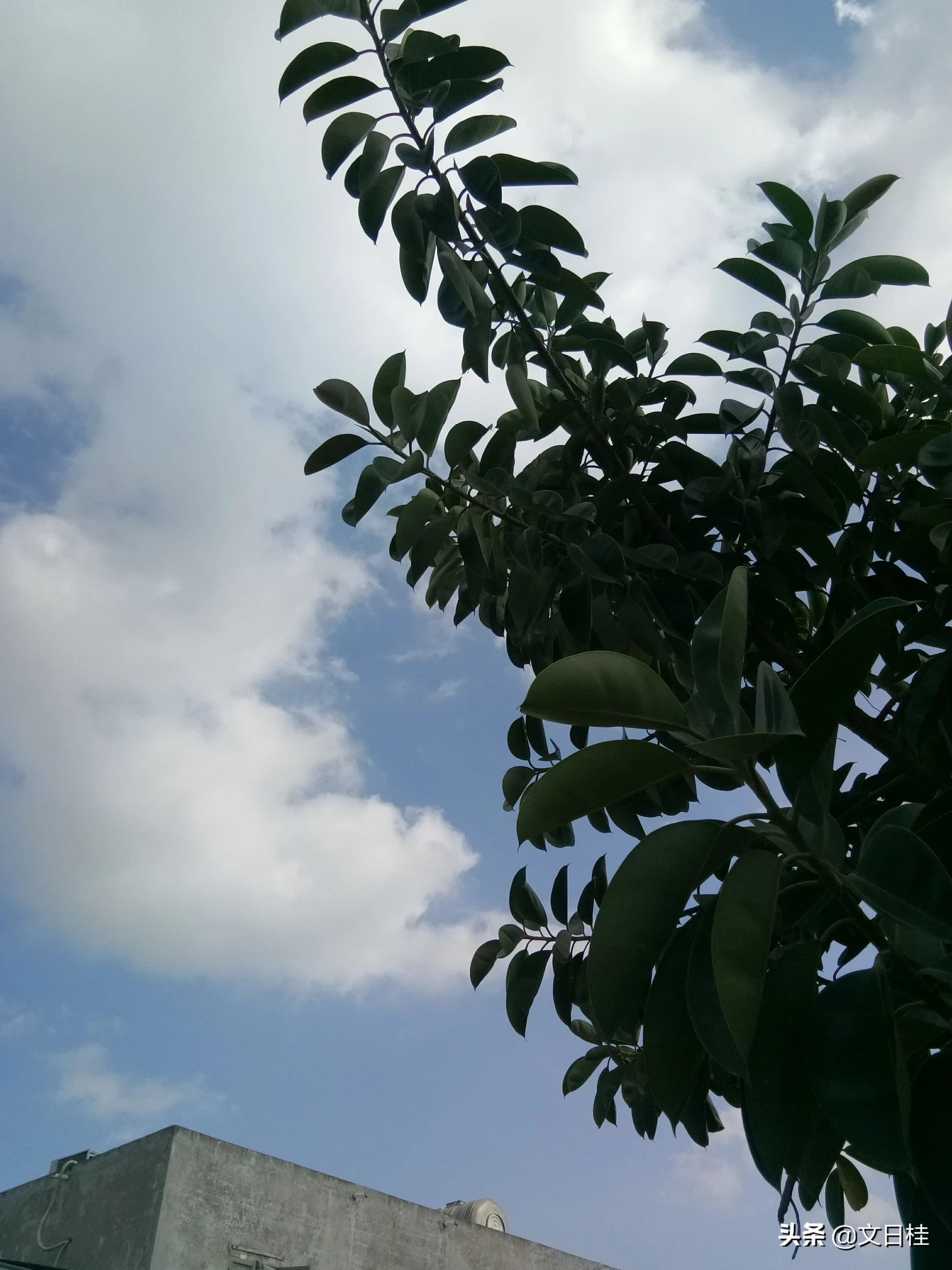 人们常说做人要有城府,请问一个人到底需要什么样的“城府”?