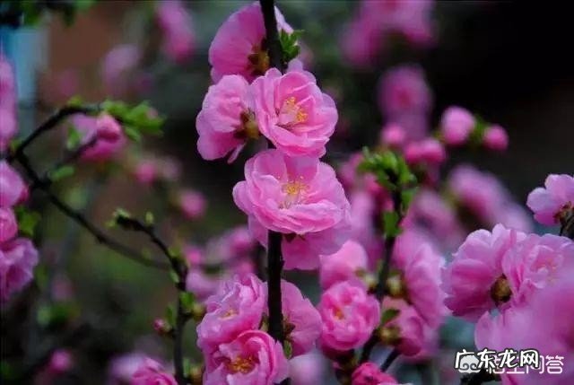 “春天是播种的季节，春天是孕育梦想的时刻”，献给正工作创业的人们。你觉得合适吗？