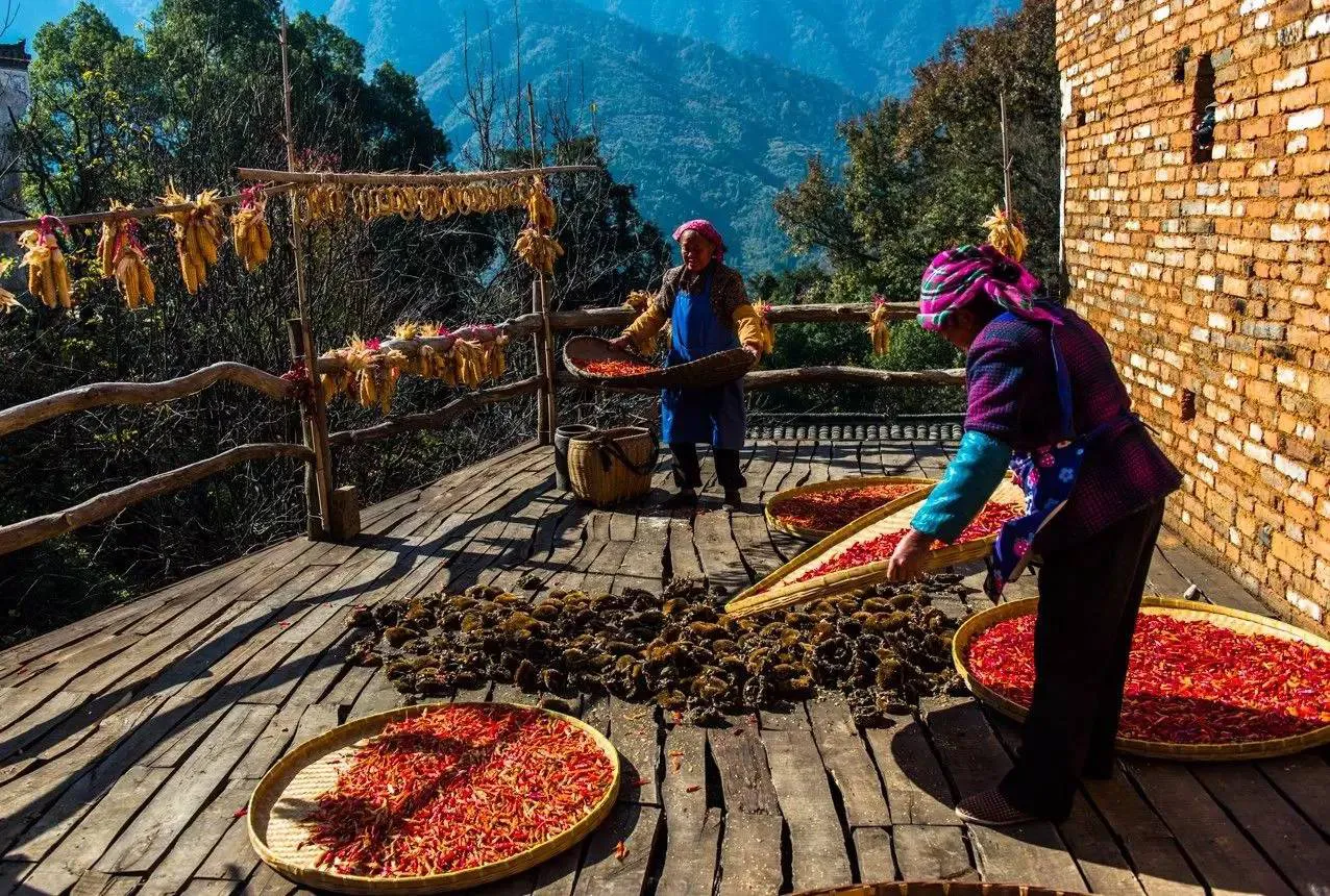 2022年立秋很特殊,晴天下雨有什么预兆。农谚有说吗?