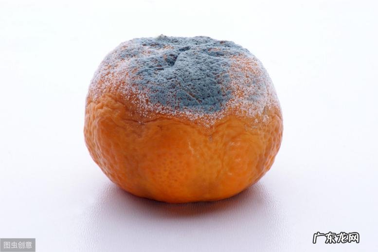 4种食物最伤肝,生活中要少吃,记住“养肝四点”,肝好更健康,指的是什么?