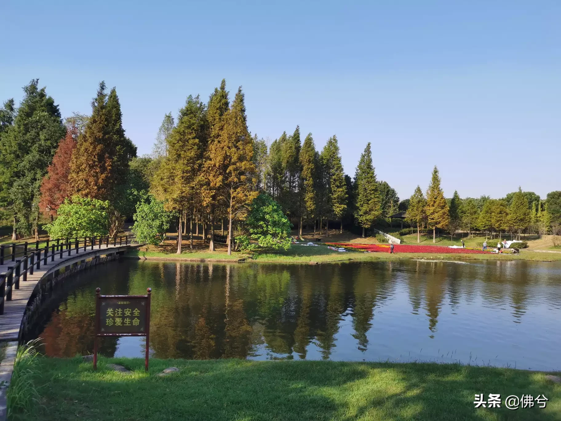 你是怎样走进秋天？