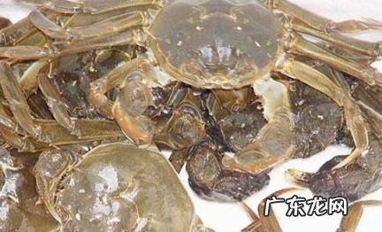 河蟹怎么保存不会死 河蟹保存多久不会死