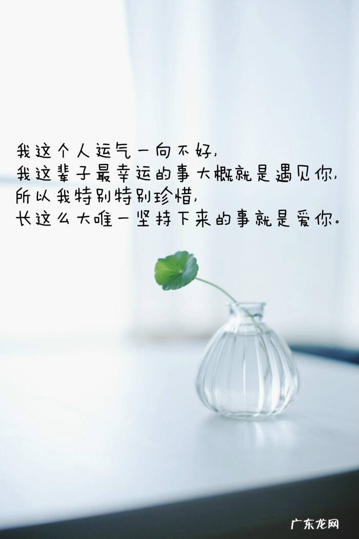 “我爱的是你这个人”这句话谁能给详细解释一下,该怎么理解呢?