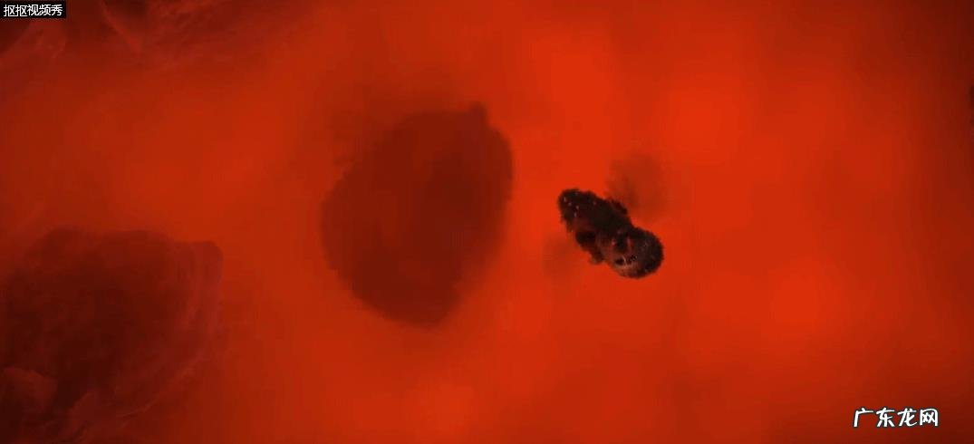 《驯龙高手》里面的龙吃什么呢？