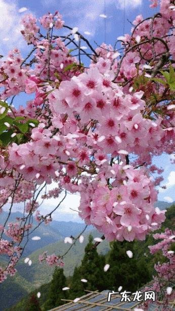 为什么越大越喜欢安静?