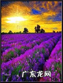 为什么越大越喜欢安静?