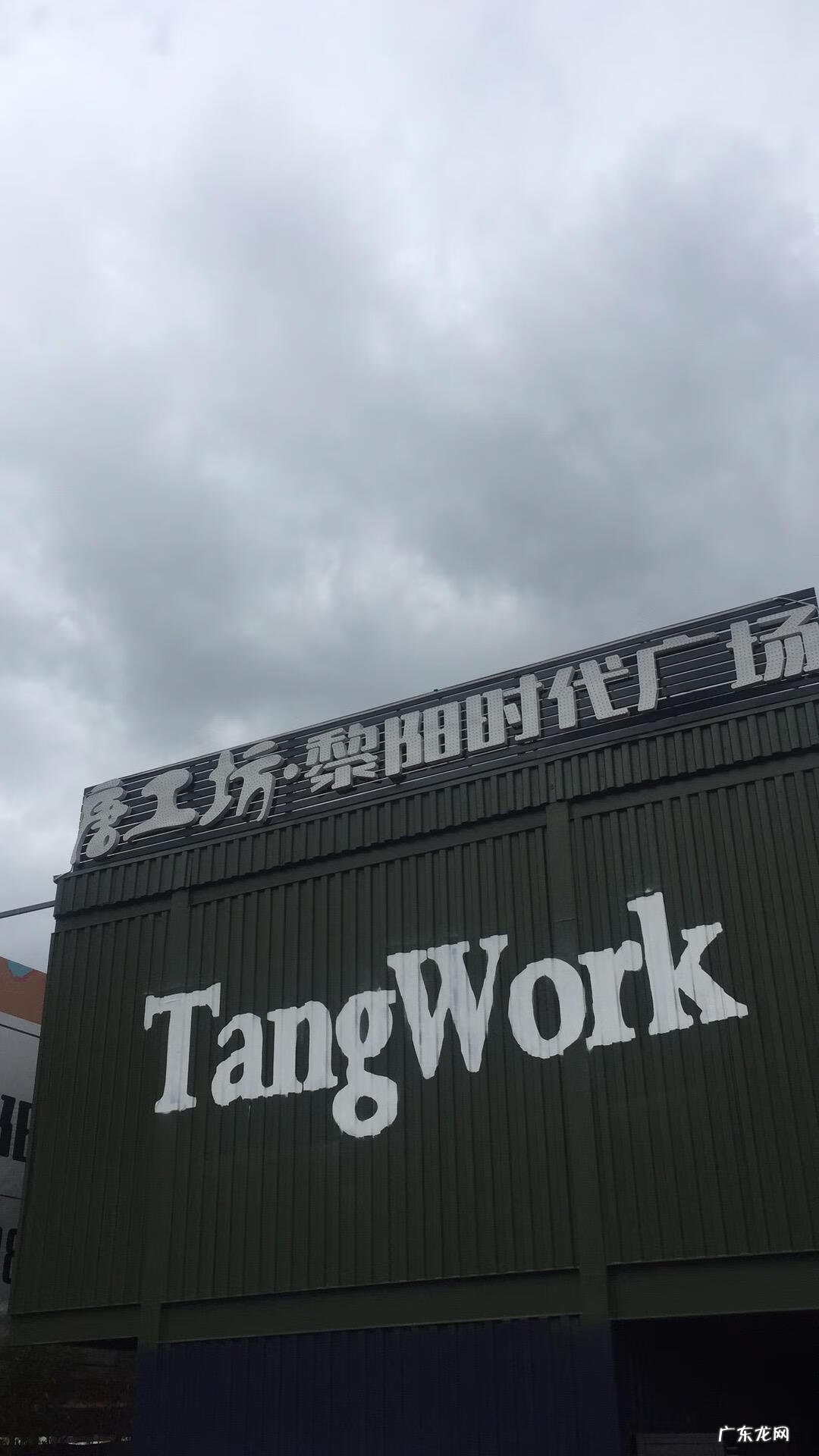 家里养鸟对风水好不好 公司养鸟的风水好处是什么