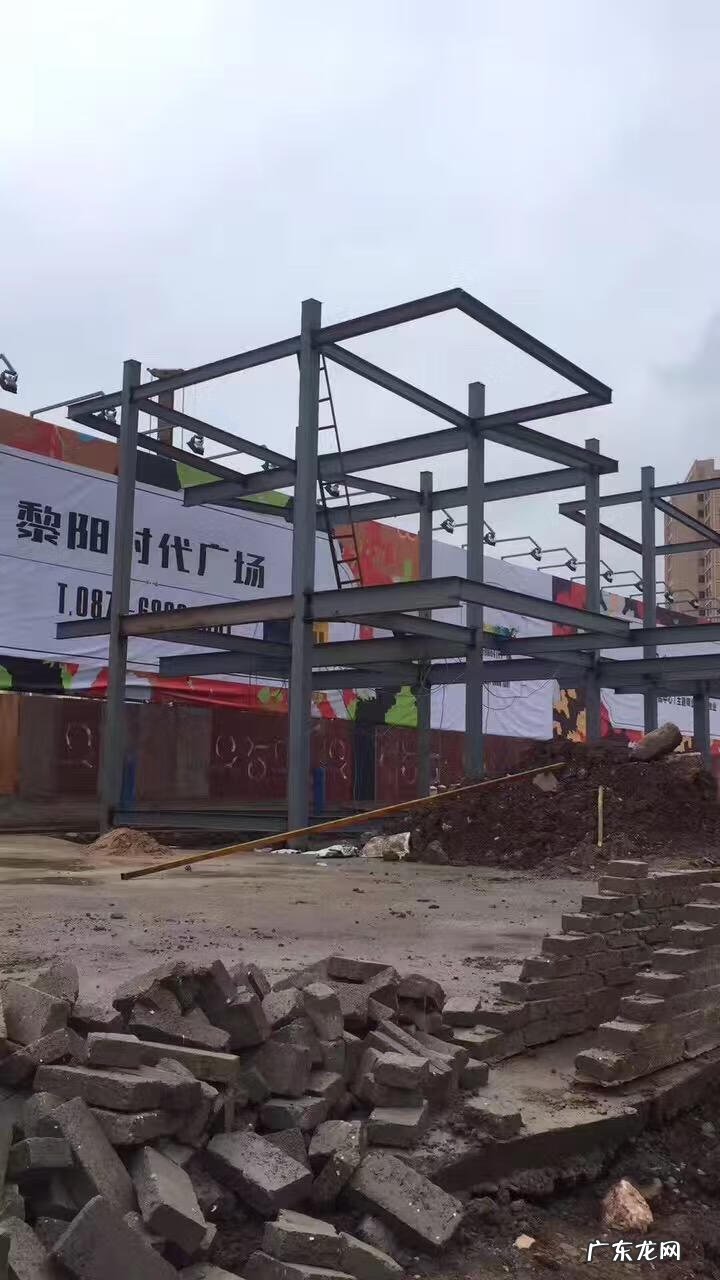 家里养鸟对风水好不好 公司养鸟的风水好处是什么