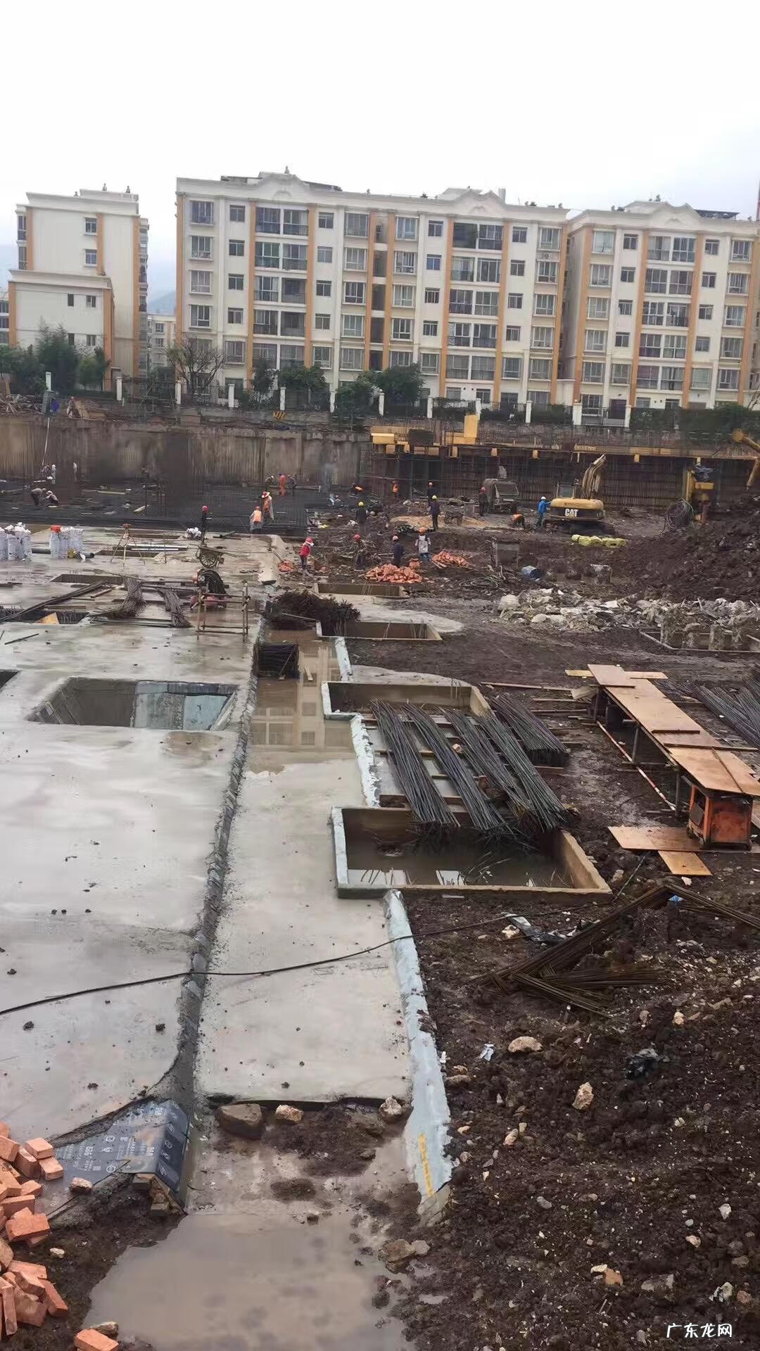 家里养鸟对风水好不好 公司养鸟的风水好处是什么