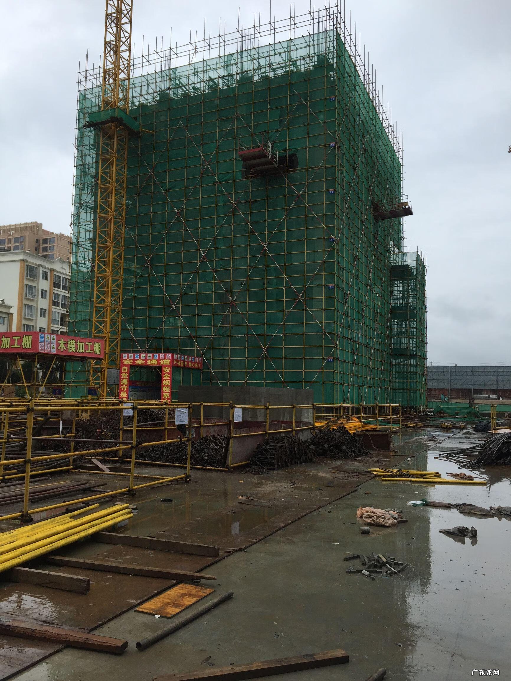 家里养鸟对风水好不好 公司养鸟的风水好处是什么