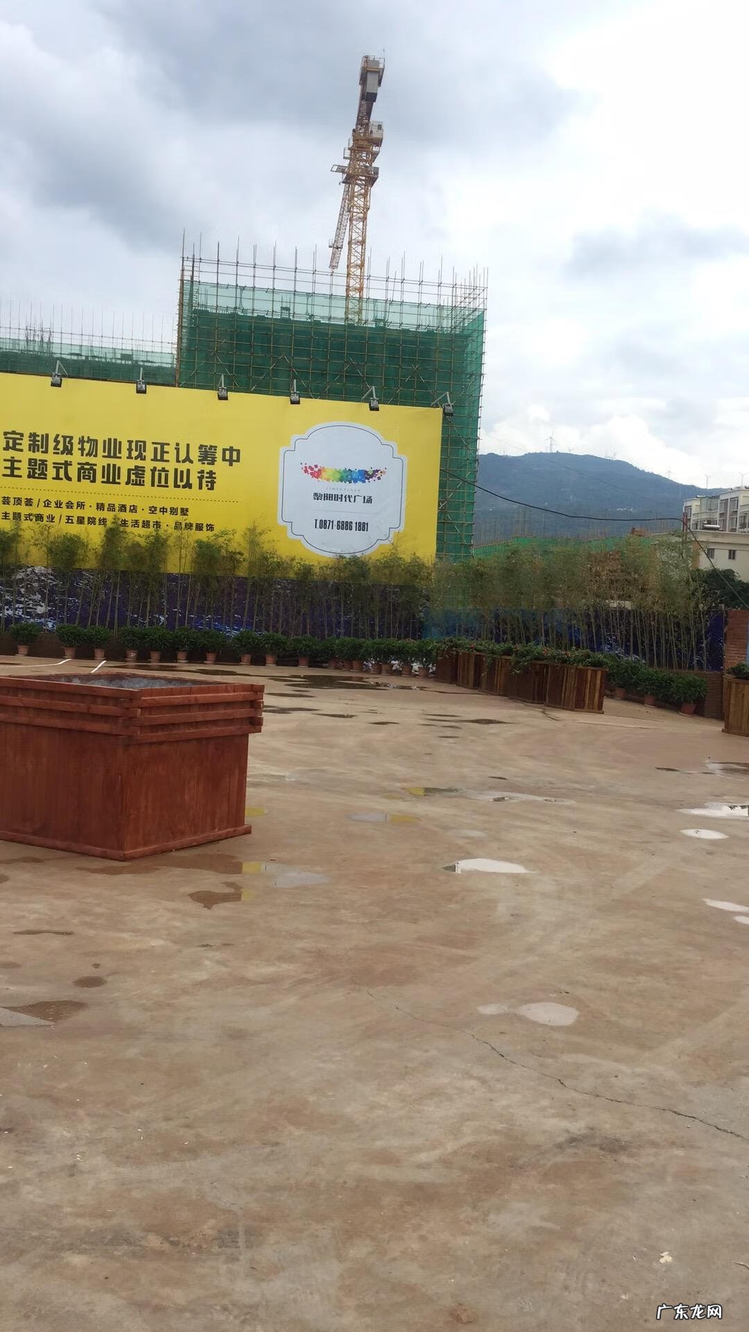 家里养鸟对风水好不好 公司养鸟的风水好处是什么