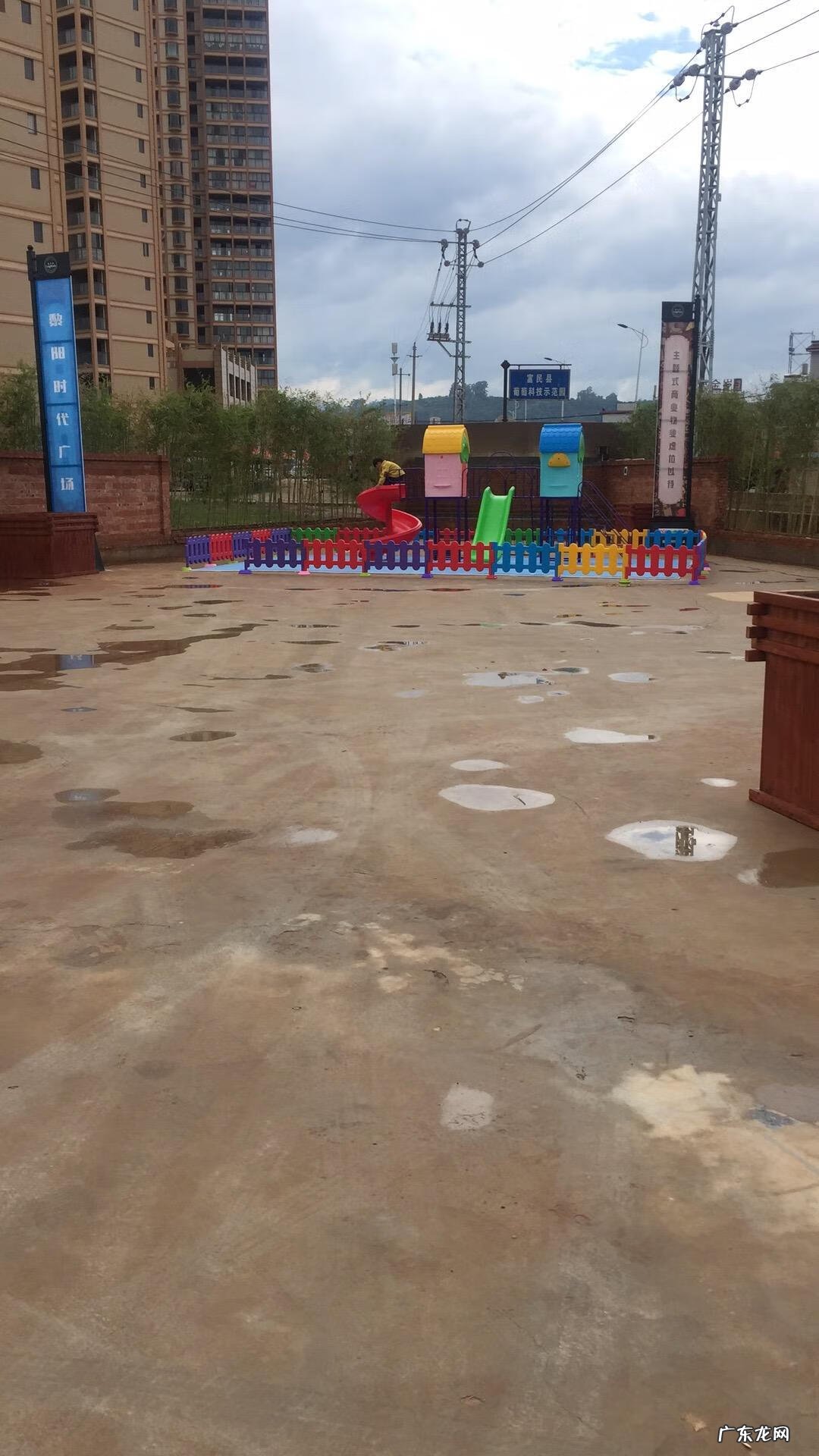 家里养鸟对风水好不好 公司养鸟的风水好处是什么