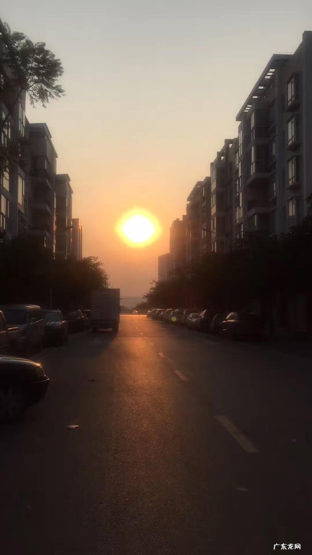 家里养鸟对风水好不好 公司养鸟的风水好处是什么