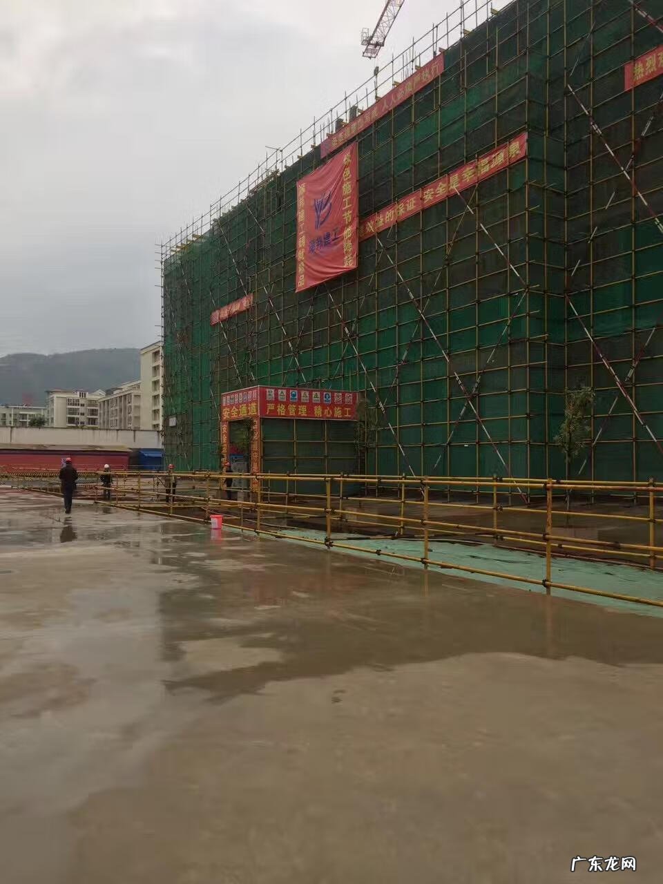 家里养鸟对风水好不好 公司养鸟的风水好处是什么