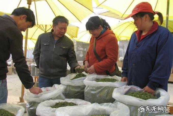 2019年茶叶行情大变,云南古树茶滞销,如何解决古树茶信任危机?