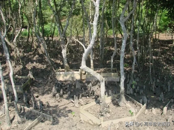 一个人的海口之旅，该如何规划行程？
