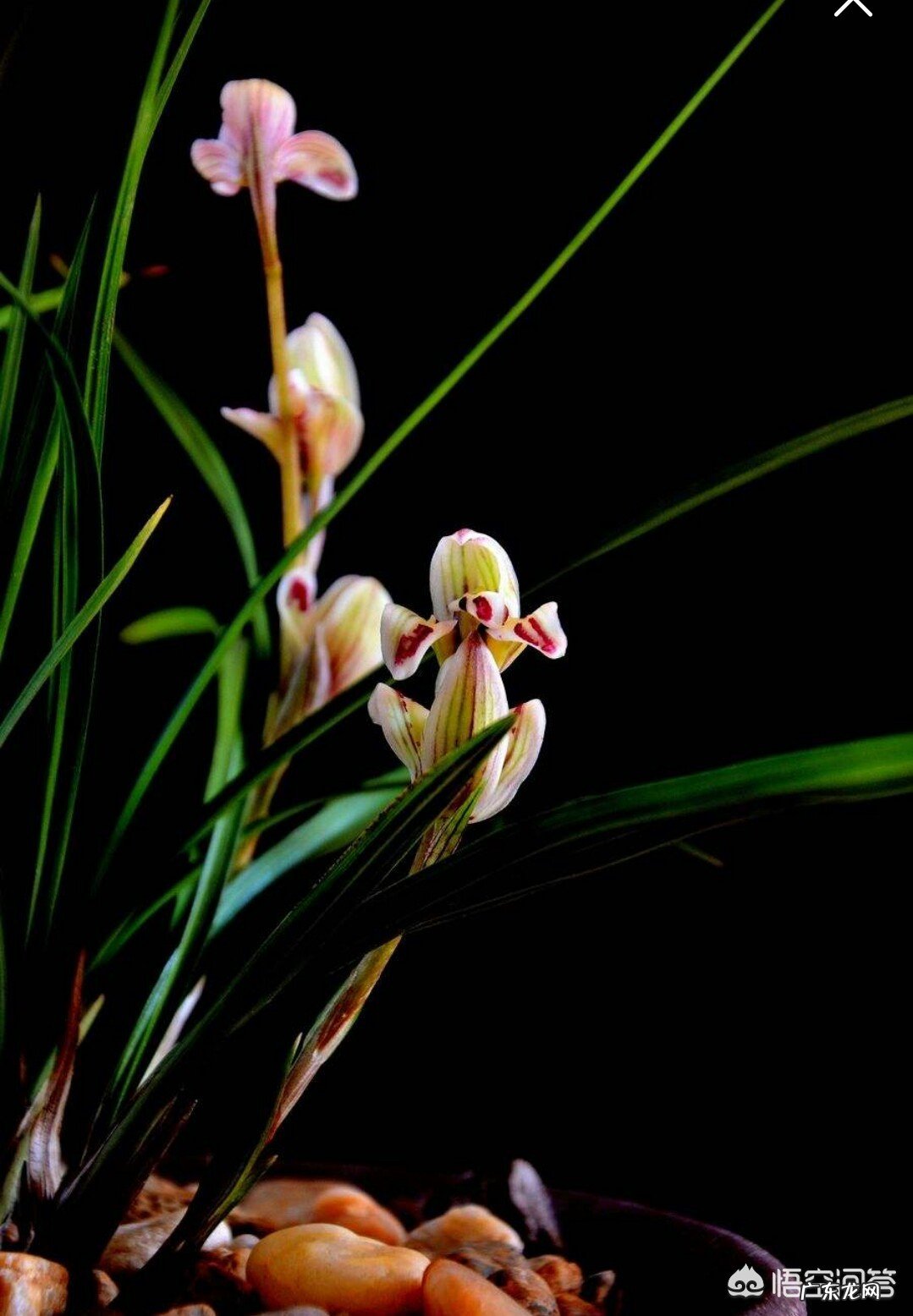 你记忆最深的那些富有哲理的小故事有什么?