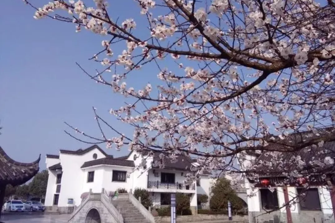 为什么杜牧《清明》是一首争议性比较大的古诗？