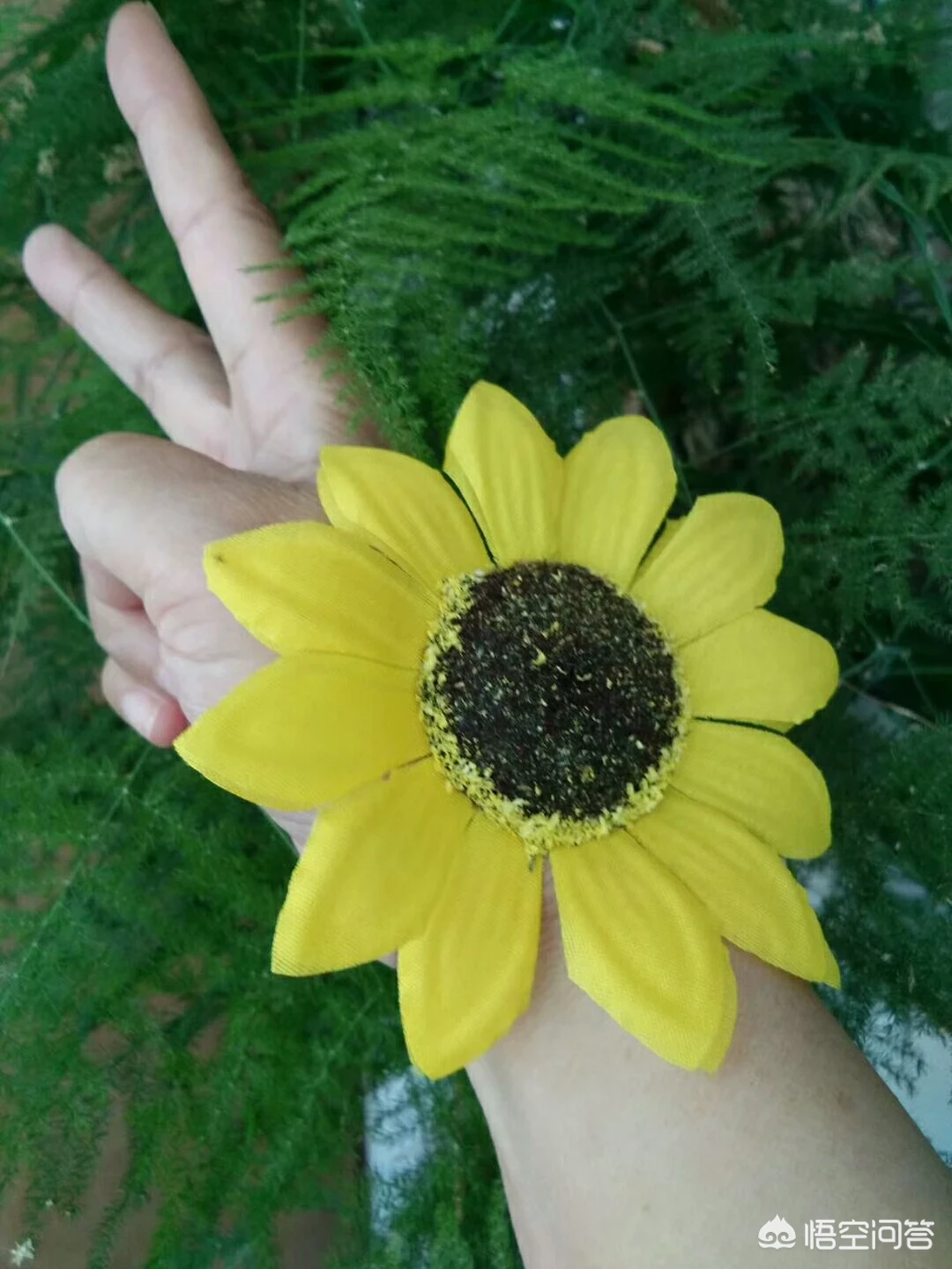 中考语文作文一般扣多少分?