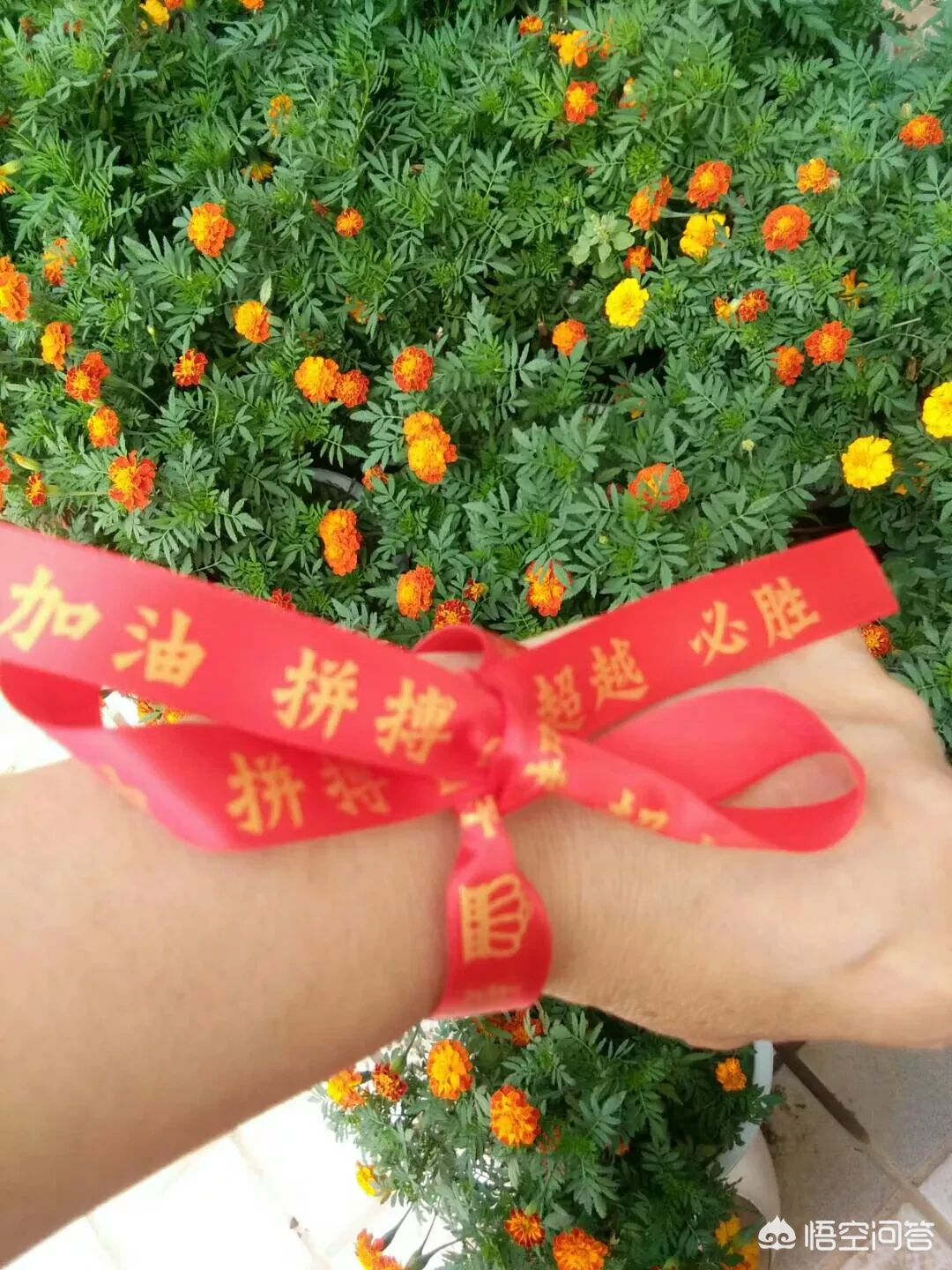 中考语文作文一般扣多少分?