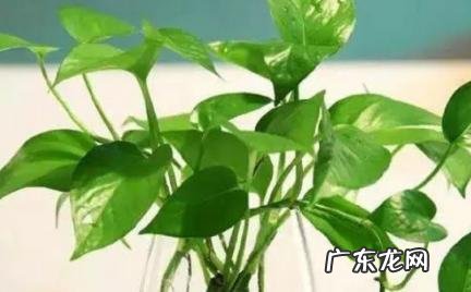 最简单破小人方法 最简单破小人方法图片