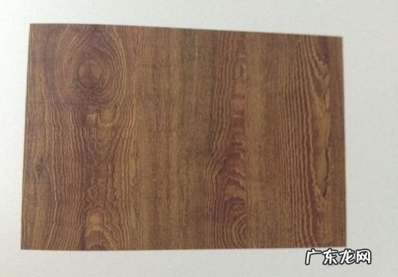 一般古琴的琴面是什么材料,制造古琴的极品木材