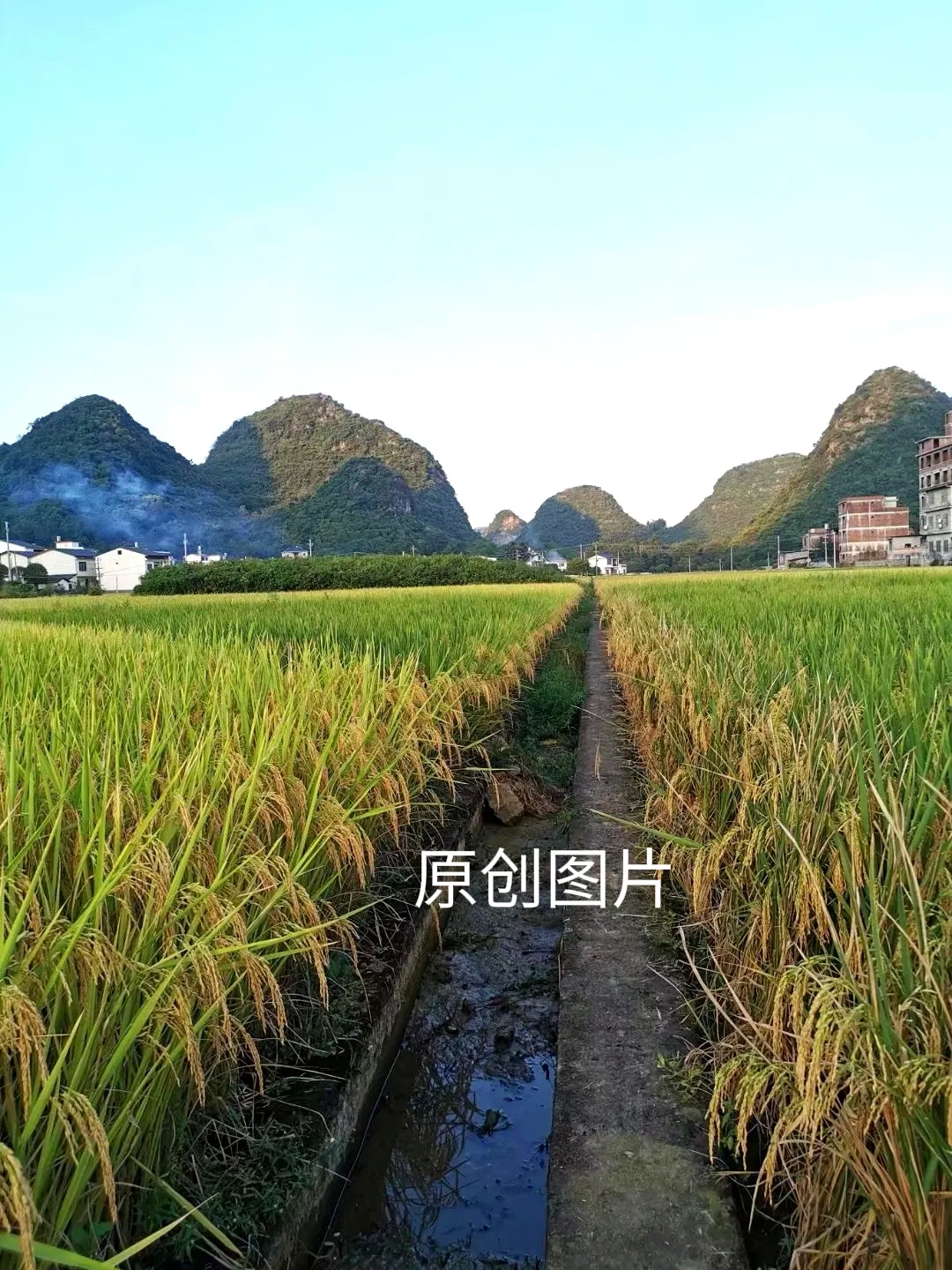 为什么越来越多的人向往田园生活呢?