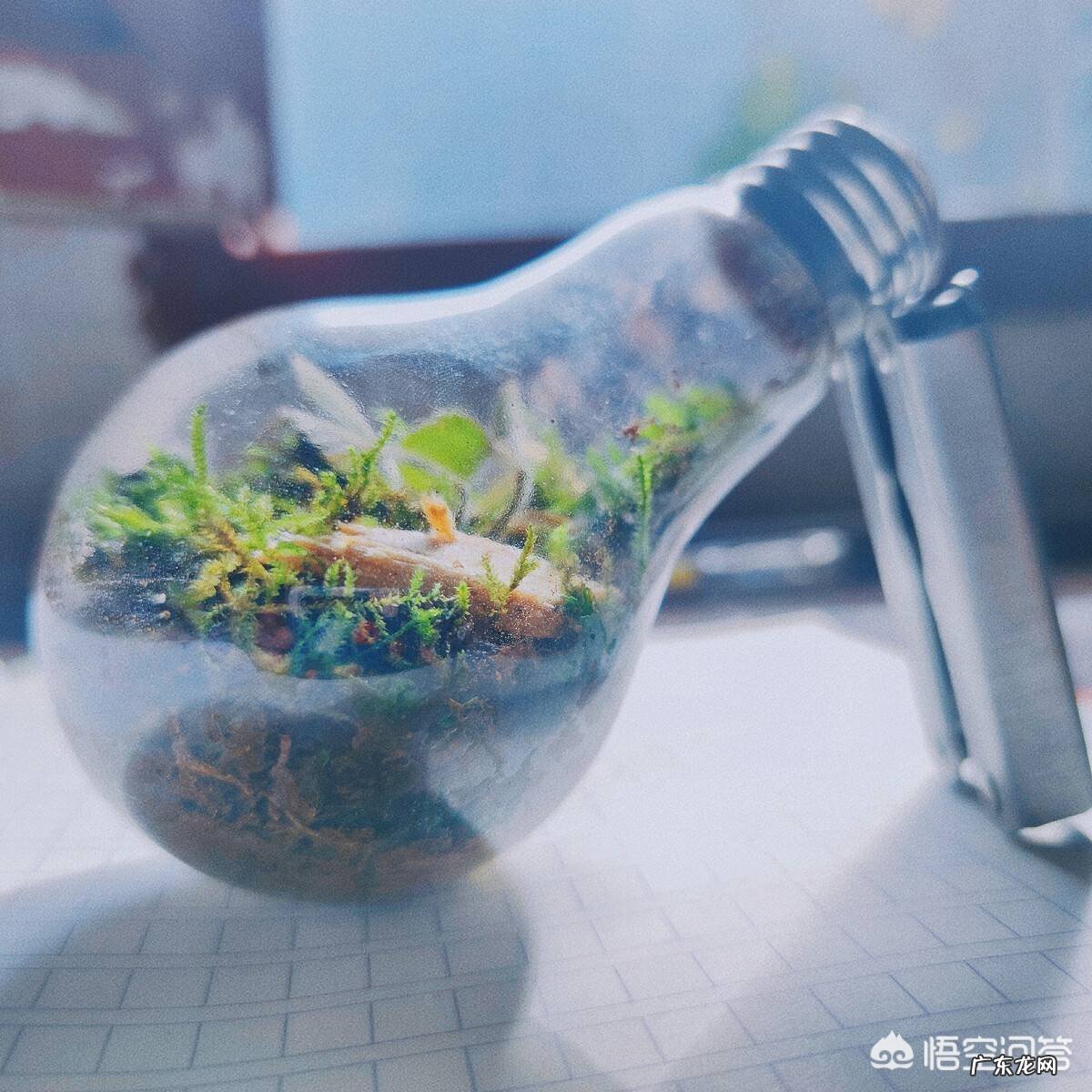 为什么地球上的水几十亿年不会过期，而瓶装水一年就过期了？