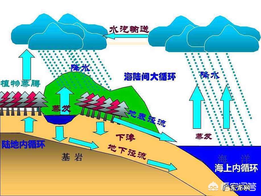 为什么地球上的水几十亿年不会过期，而瓶装水一年就过期了？