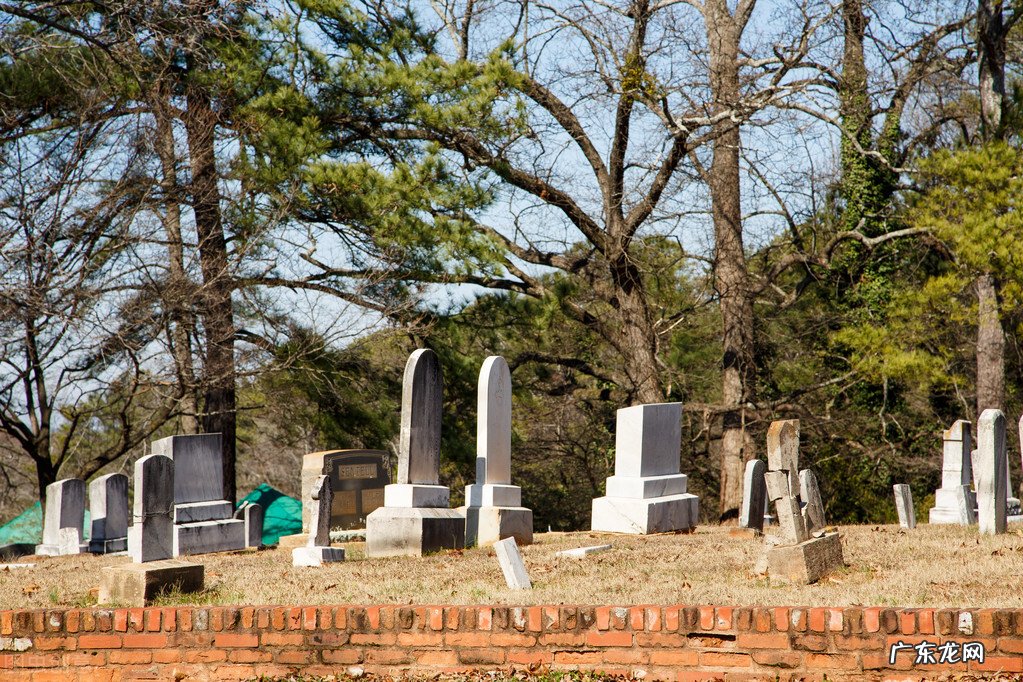 你认为什么是爱情?