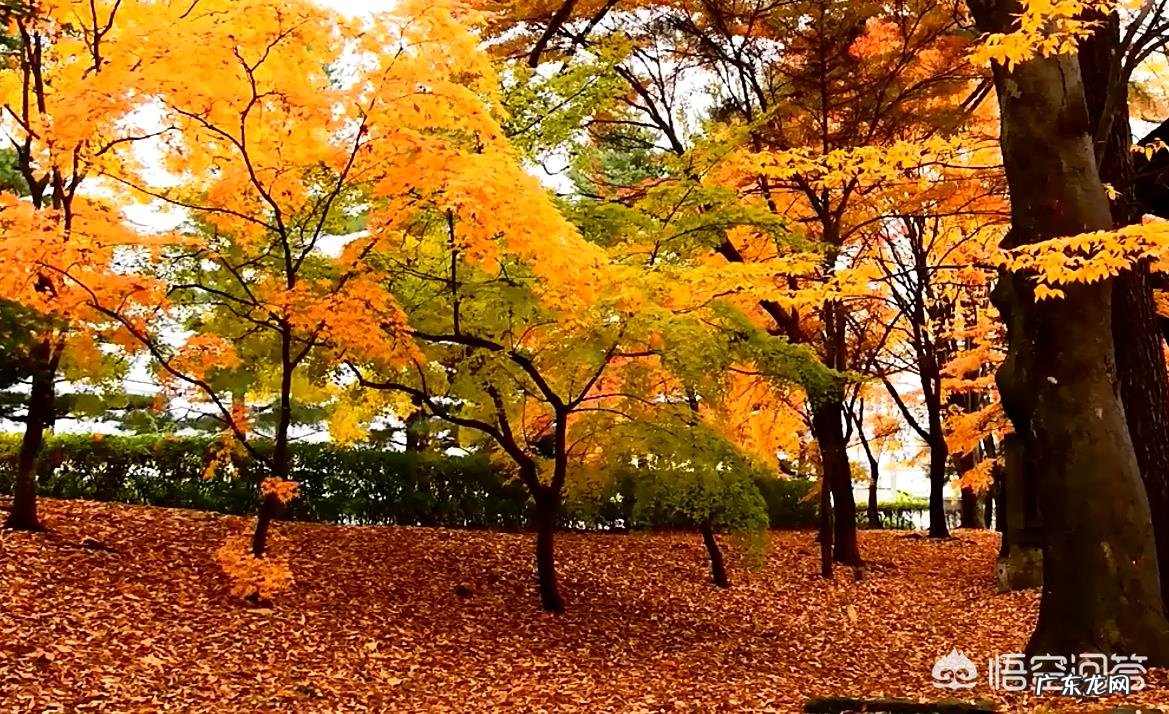 临渊羡鱼,不如退而结网,大家如何理解?