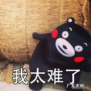 你听过最扯的职场故事是什么？