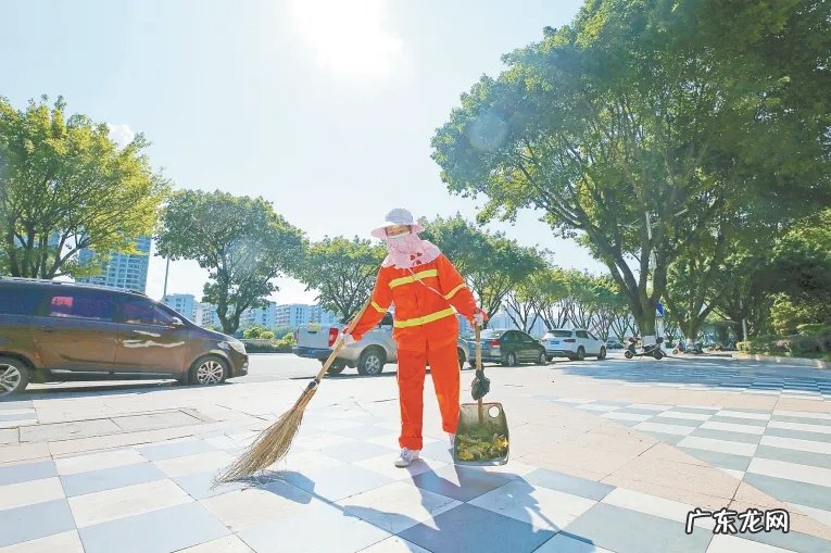 今年的蚊子都少了，这是好事吗？