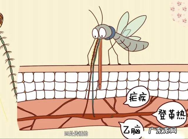 今年的蚊子都少了，这是好事吗？