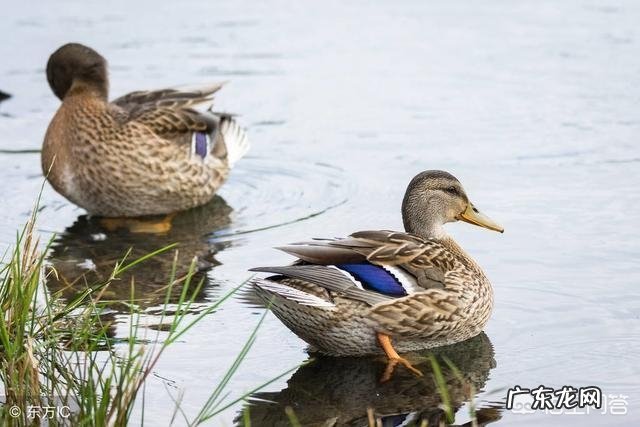 “小暑”节气应该如何养生?