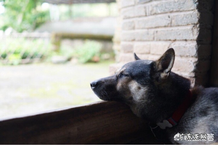 “小暑”节气应该如何养生?