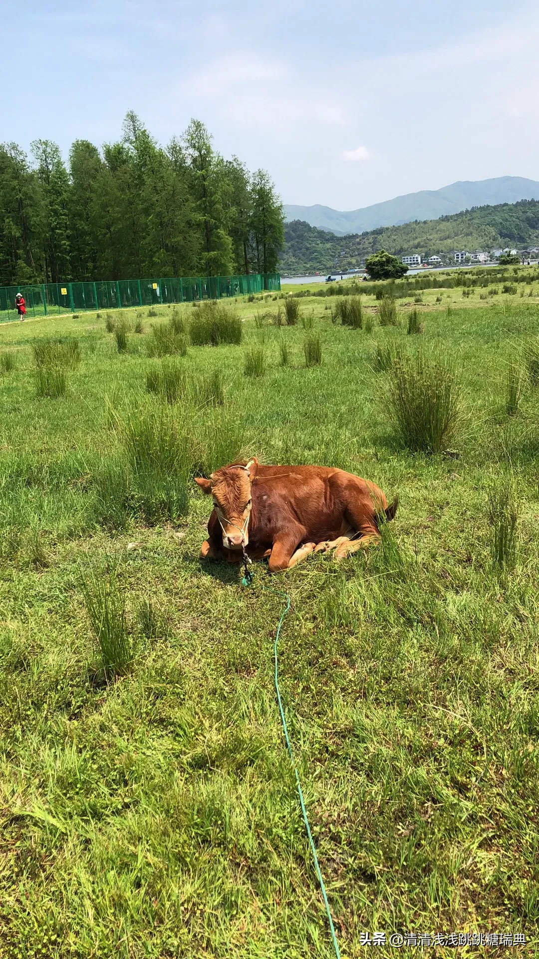 2020年五一假期,能否晒晒你的旅游经历呢?