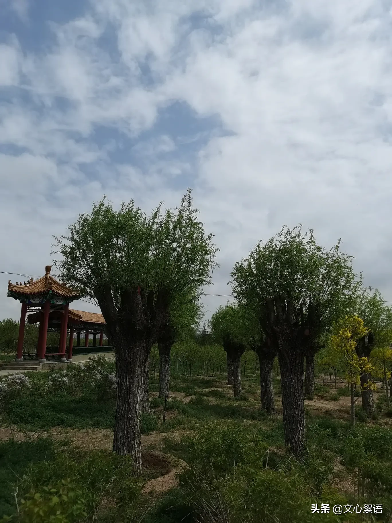 2020年五一假期,能否晒晒你的旅游经历呢?