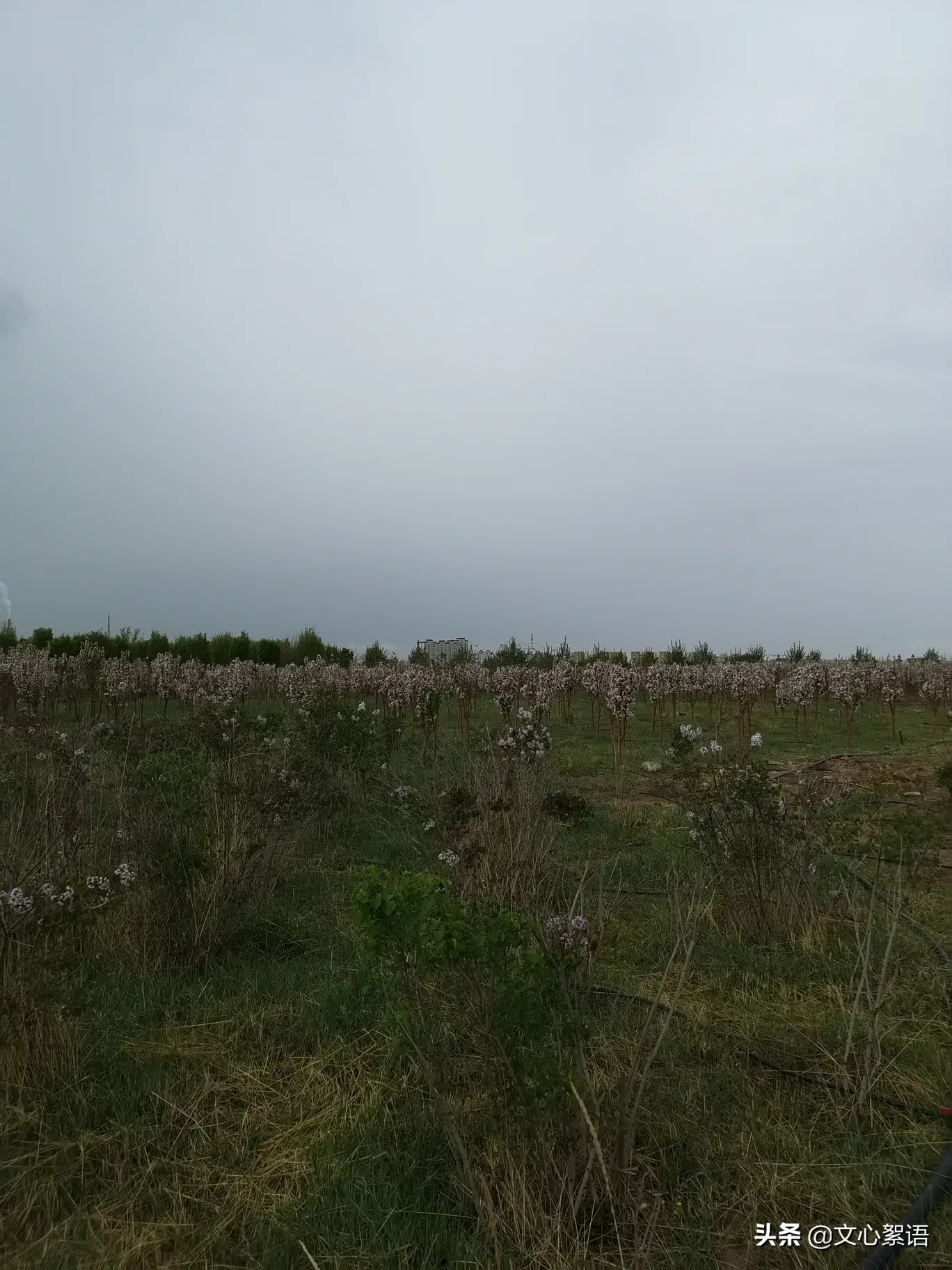 2020年五一假期,能否晒晒你的旅游经历呢?