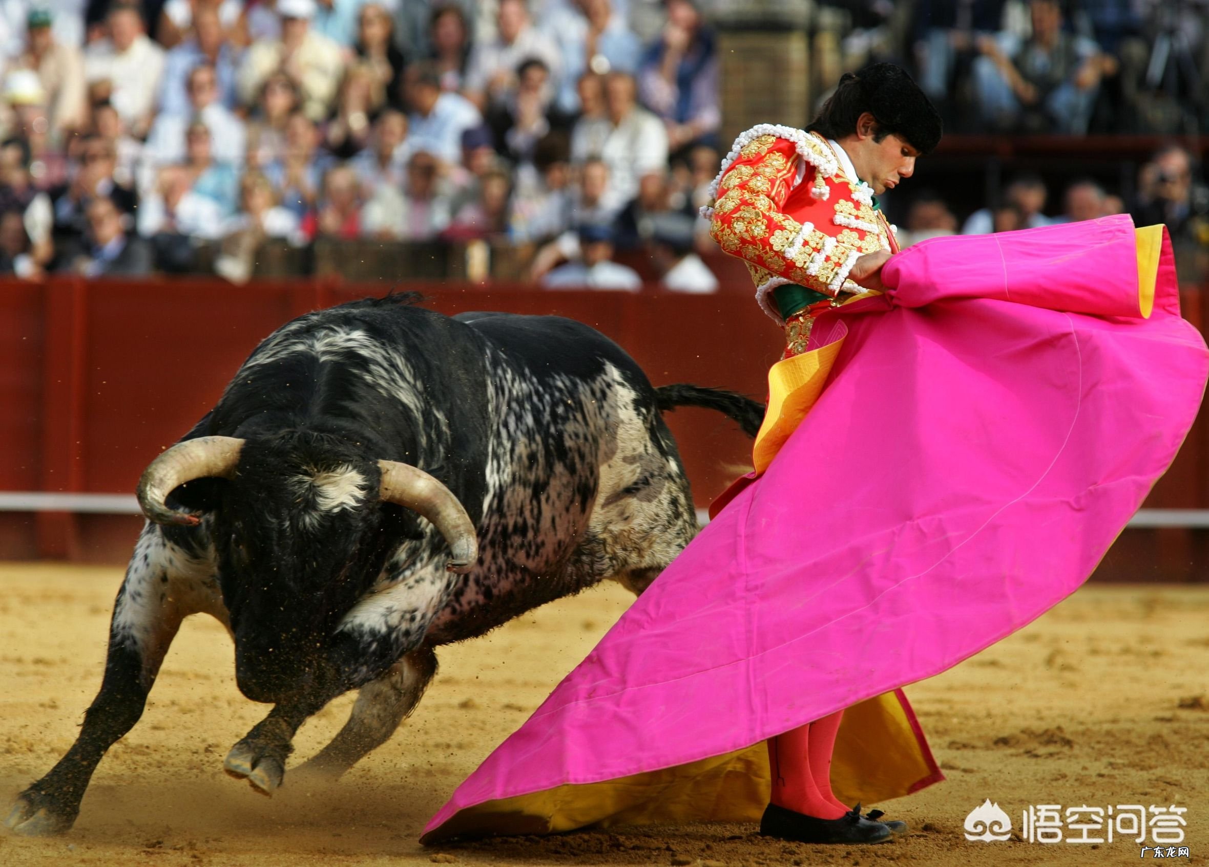 为什么有些动物可以睁着眼睛睡觉,眼睛难道不累吗?