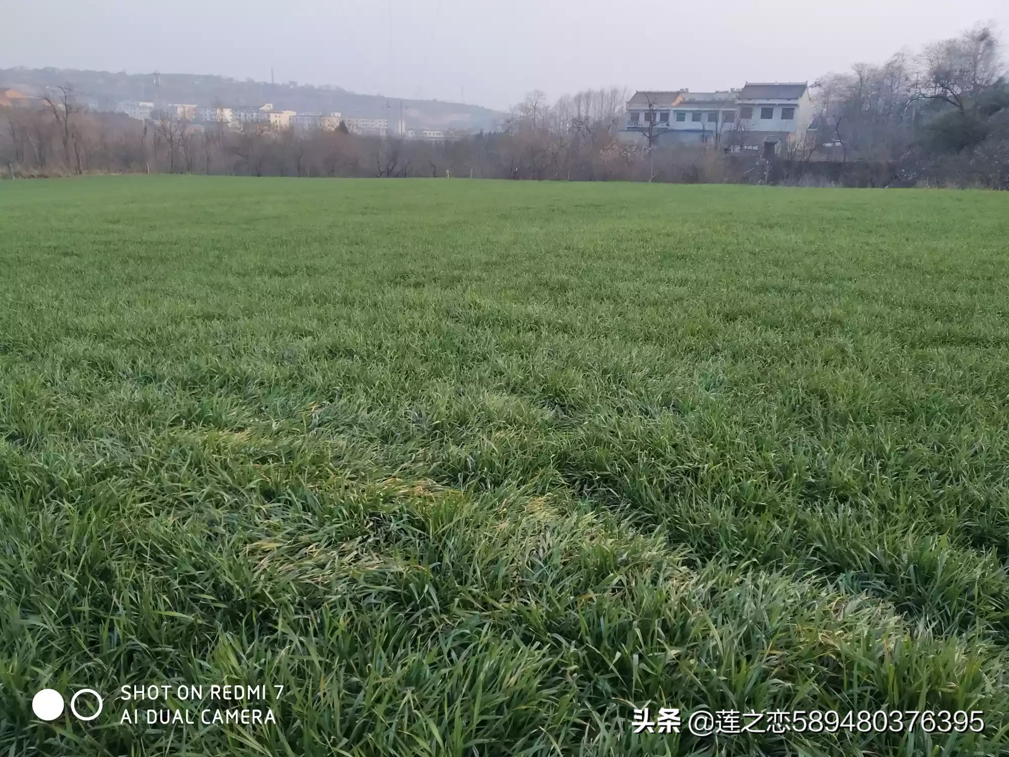 人的心情和情绪有什么区别?